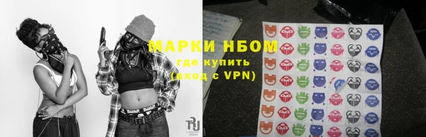 сатива Белокуриха
