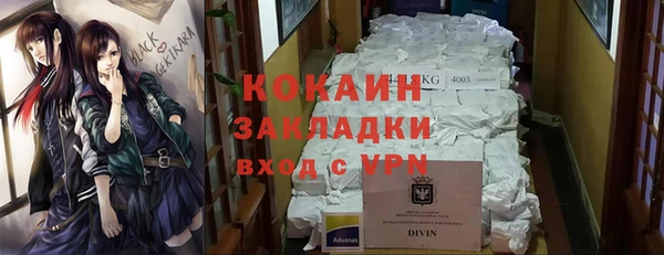 сатива Белокуриха