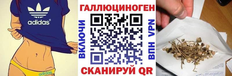 Псилоцибиновые грибы мухоморы Кочубеевское