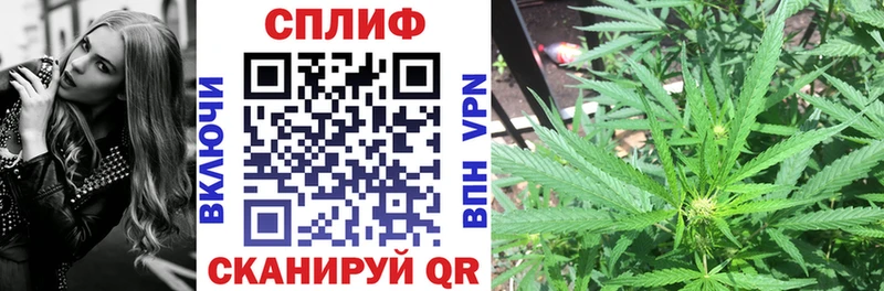 Марихуана White Widow  цены наркотик  Кочубеевское 